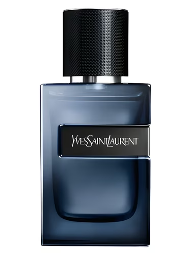 YSL Y Elixir